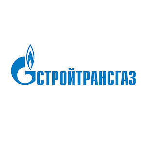 Логотип компании «СтройТрансНефтеГаз»